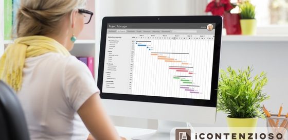 Software gestionale