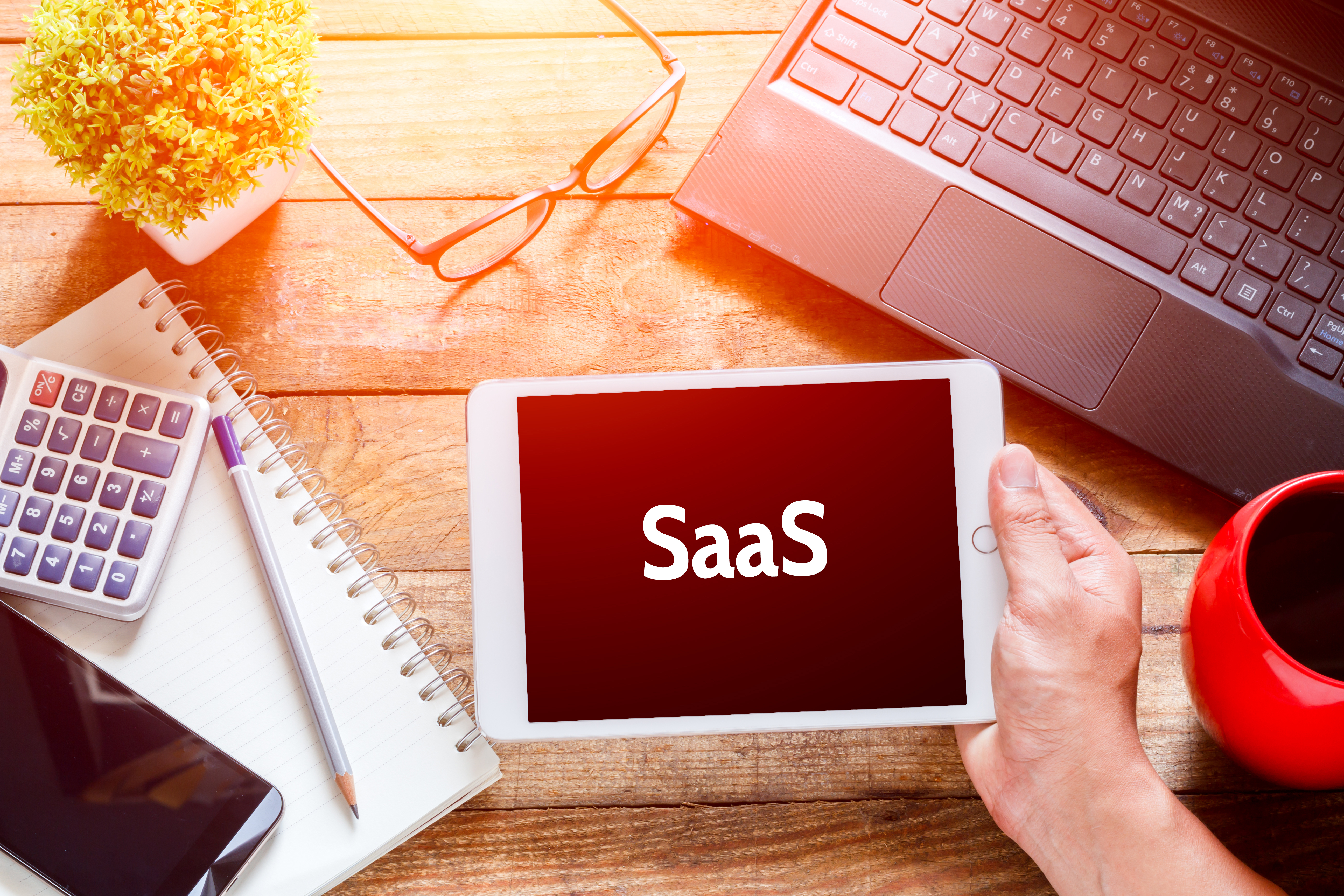 Saas perché scegliere software come iContenzioso